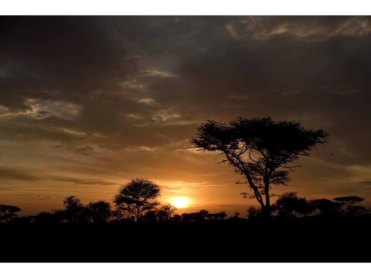 Ikoma Bush Camp Robanda Exterior foto