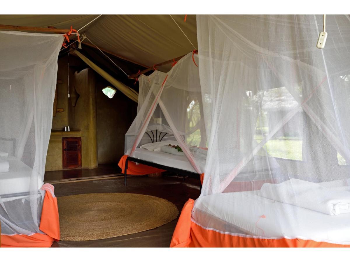 Ikoma Bush Camp Robanda Exterior foto